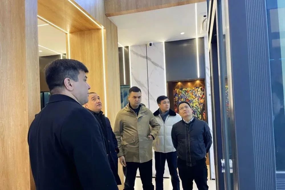 法立奧國外案例