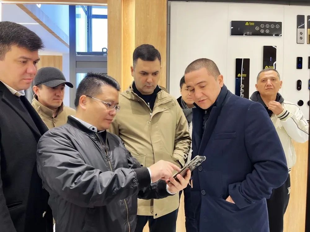 法立奧電梯國外案例