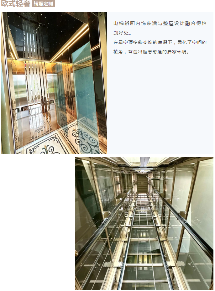 法立奧電梯鋁合金井道別墅電梯