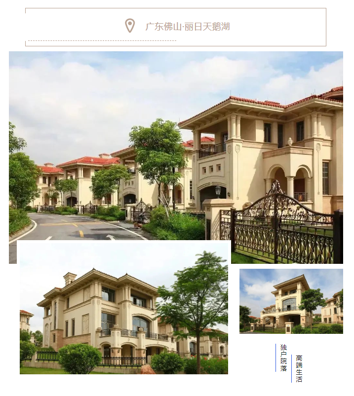 法立奧別墅電梯廠家