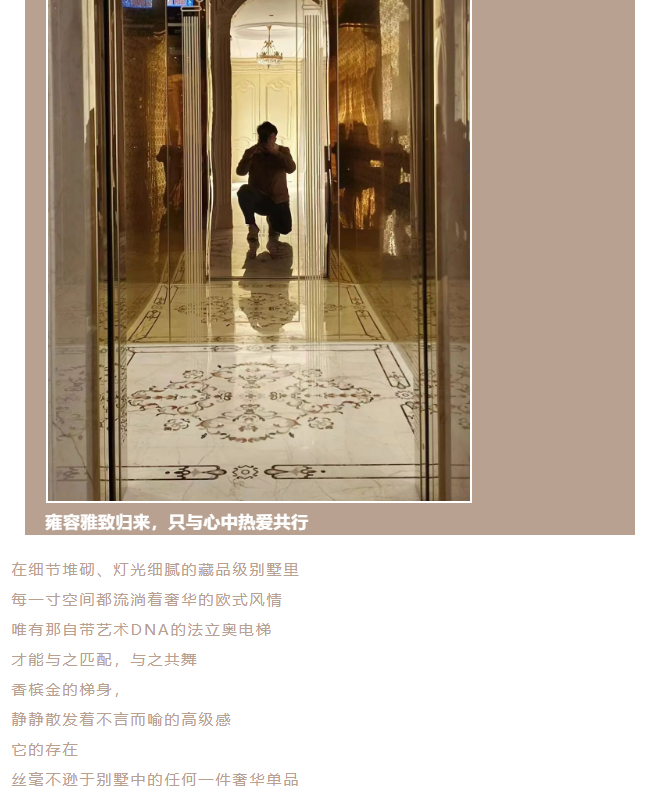 法立奧別墅電梯品牌
