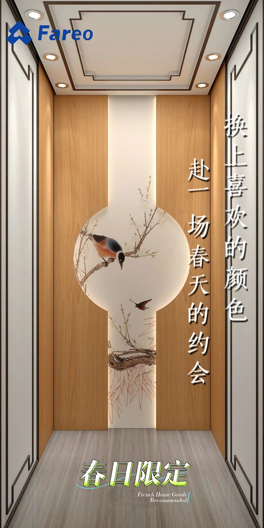 法立奧極簡別墅電梯廠家