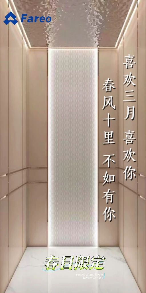 法立奧極簡別墅電梯品牌