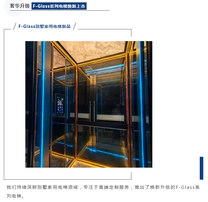 法立奧電梯新品