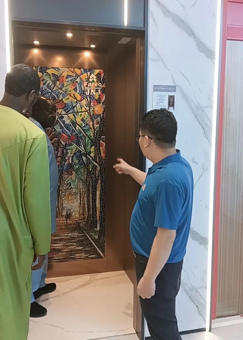 法立奧家用電梯廠家